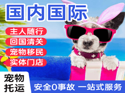 宜宾五粮液航空快递国际宠物托运 【国